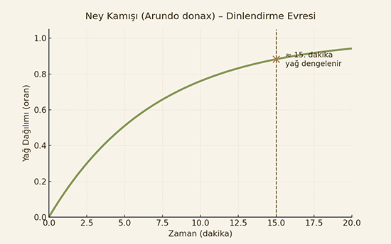 Dinlendirme grafiği